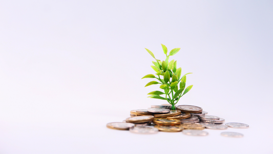 How we actually help growing businesses