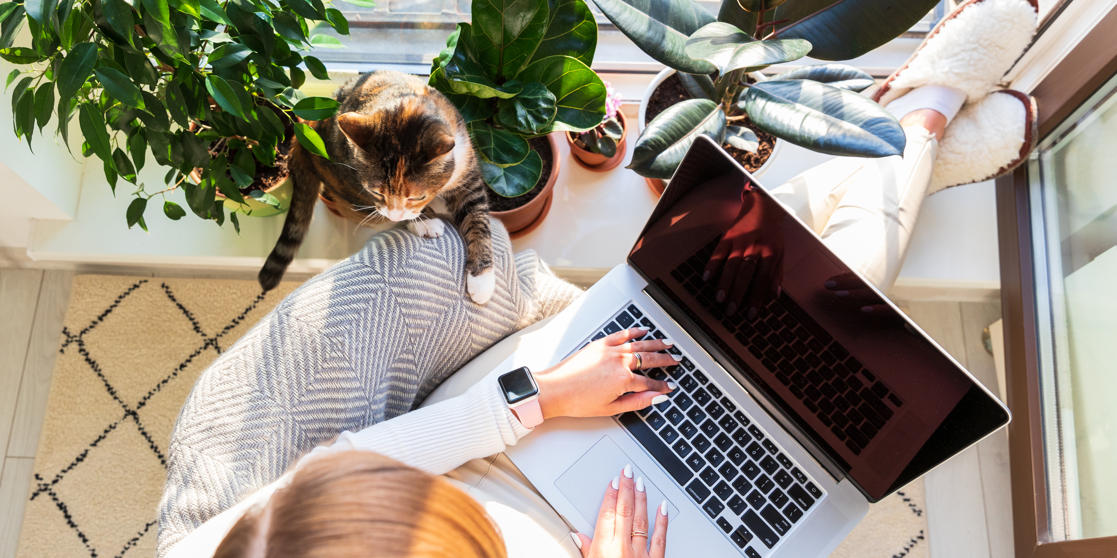 Overhead view of a woman working on a laptop at home near a sunny window, surrounded by plants and a cat, symbolising flexible, creative entrepreneurship.
